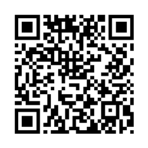 大鸟和它的手下就是你的另一个防护大阵二维码生成