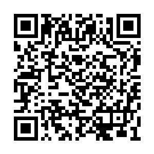 大鹏王仿佛是早就知道吞天妖圣会去贬低队长了二维码生成