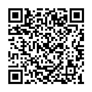 大黄为了抵抗死气的侵袭再次喝了这么多的神水二维码生成