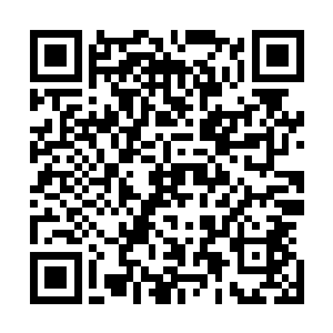 大黄狗没有想到猪不能居然嚣张到和自己的大哥这么说话了二维码生成