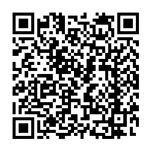 天上的剩余的苍鹰又冲下来用巨大的翅膀和爪子攻击不断奔跑的两人二维码生成