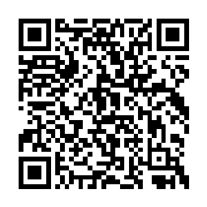 天下派分部的几个掌峰这一次回去估计就老实了二维码生成