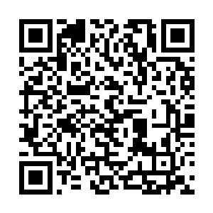 天之骄子林无缺的实力恐怖到让同界对手胆寒的地步二维码生成