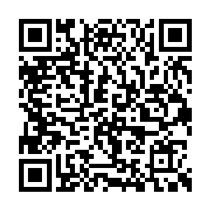 天书只用了几秒钟就吸收了绿色圆球的全部绿光二维码生成