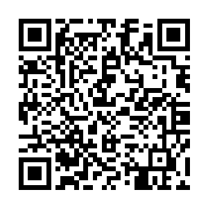 天云山脉乃是这方圆十万里的范围之内最大的一个大型山脉二维码生成