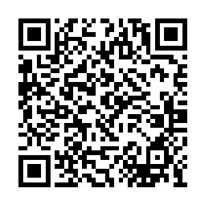 天亮后枣枣就让曾妈妈将他抱到启浩的宫殿去了二维码生成