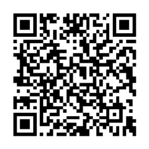 天仙层次的争斗根本不可能引起上层人物的注意二维码生成