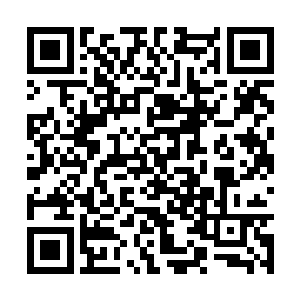 天使之城在这暴躁老人的口中居然是这样一幅模样二维码生成