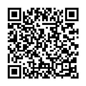 天元大陆的人族和另外三大种族一早就商量好了二维码生成