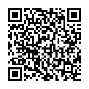 天元大陆的十大守护家族以及佣兵之城便有强者前来烈焰城拜访二维码生成