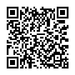 天元宗当初的时候在整个神界绝对是一方擎天巨擘二维码生成