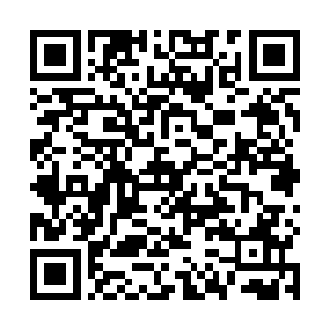 天元的专业救援机械鸟就张开了翅膀朝那架机甲飞过去二维码生成