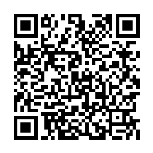 天全和月合两位长老虽然在之前都是非常的和善二维码生成