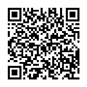 天冬和地生也是从来没见过于晋然这么明亮愉快的笑容二维码生成