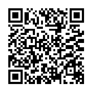 天凤城凤家的势力在整个神之大6已经十分的强大了二维码生成