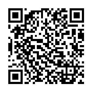 天劫的异变让整个葫芦岛连同附近海域都被笼罩在内二维码生成