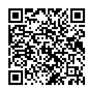 天华宗宗主的叫声把本体的注意力从血傀身上转移来了二维码生成