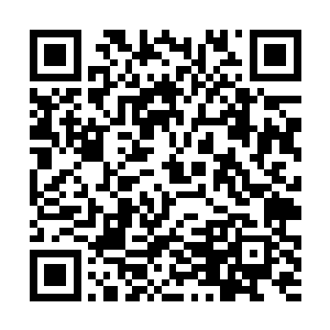 天启拍行的管理在合同上印上了天启拍行的印章之后二维码生成