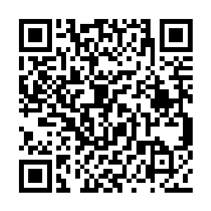 天命公会的王境强者居然被五方盟的叶尊所斩杀二维码生成