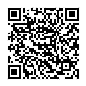 天地万物都逃不掉它们的吞噬……那些才是真正的凶虫二维码生成