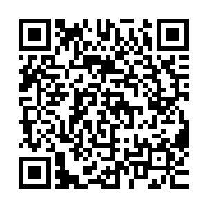 天地元气还在随着阵法的运行源源不断补充到各位修士的身上二维码生成