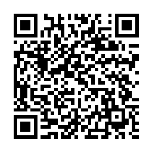 天地间的五行之气就好似疯了一般的朝着那长针灌入了进去二维码生成