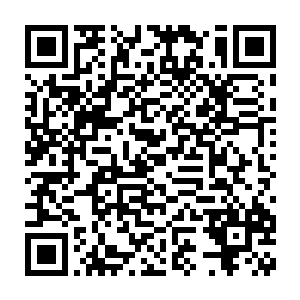 天地间的仙云之气就像极速流失的气流一样在这只脚的四周四溢抛离二维码生成