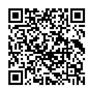 天天腻在颜家别墅的颜涛还没等王世子身边的颜晓夕说话二维码生成