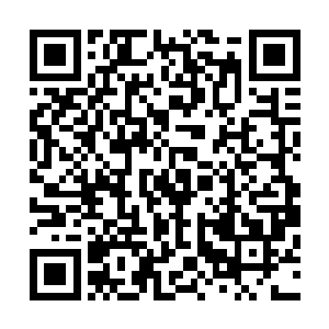 天娱商会的拍卖会基本上都是面向整个玄黄宇宙的高端市场二维码生成