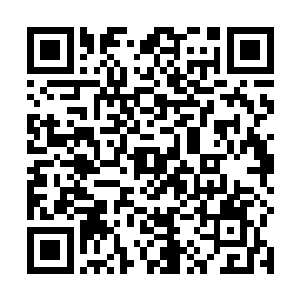 天子朱祐樘本来并没有将这弹劾方应物的密疏放在心上二维码生成
