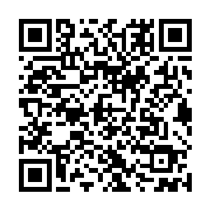 天宗的虚空飞船带起一片阴影压在雪宗的护宗大阵上空二维码生成