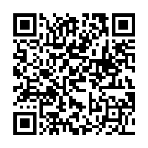 天师府的张霖淳问出了在场所有人都特别想知道的问题二维码生成