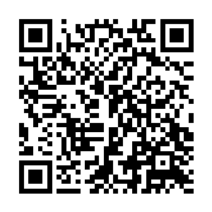 天帝在将盘古界父的残魂处理妥当之后便开始了漫长的守护二维码生成