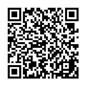 天庭不会因为混鲲祖师要抢这一个鸡蛋就提着篮子上去拼命的二维码生成