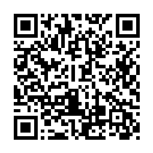 天弓真神留下的传承会连同阵法禁制一样被摧毁二维码生成