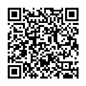 天心藤原本还想分出藤脉对抗的力量逐渐减弱下来二维码生成