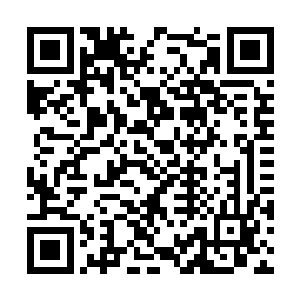 天星境后期的修士独战三十多名天星境巅峰的修士二维码生成