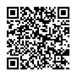 天星大6几亿人的仇你不能不报啊对了…你找到夫人了吗二维码生成