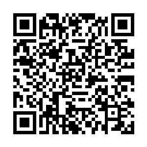 天晓得被当年的孙子辈门派骑在脖子上撒尿多少回了二维码生成