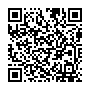 天晓得那个不计后果的女人会不会在他们抵达南诏之后二维码生成