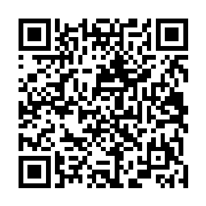 天机宫这几个老家伙才和小黑打了一个照面就被乱了队形二维码生成