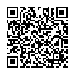 天机宫那几个老家伙听着云起舞和小黑的一唱一和二维码生成