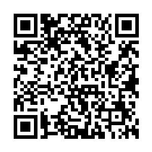 天机屏蔽能力比起此前我用的地书遮掩只强不弱二维码生成