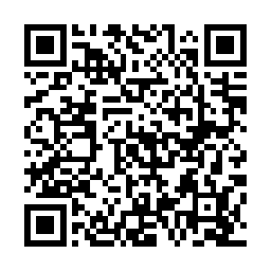 天机老人做出牺牲山道和溪畔的那些人类修行者与妖族高手二维码生成