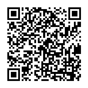 天机门的归元神君和广南王府的苍穹供奉月阳神君居然都要收张铁的孩子为徒弟二维码生成