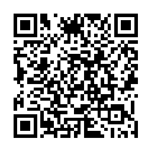 天机院院士准备辅助我进行大圣神金巨人第一次实战测试二维码生成