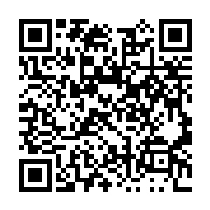 天极游龙阵的方法进入到核心区域才能靠近赤龙果二维码生成