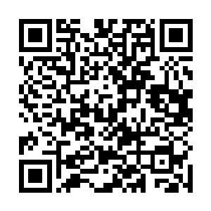 天洲大陆的修士在这须弥海内所遭受的压制该有多狠了二维码生成