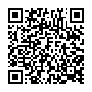 天浊子这时候已经和一帮教授护法来到了南荒城的城头上二维码生成