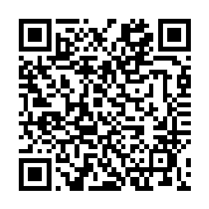 天涯商会的那些人一个个全都被夏天的实力所震撼到了二维码生成